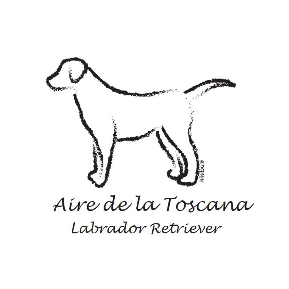 AIRE DE LA TOSCANA