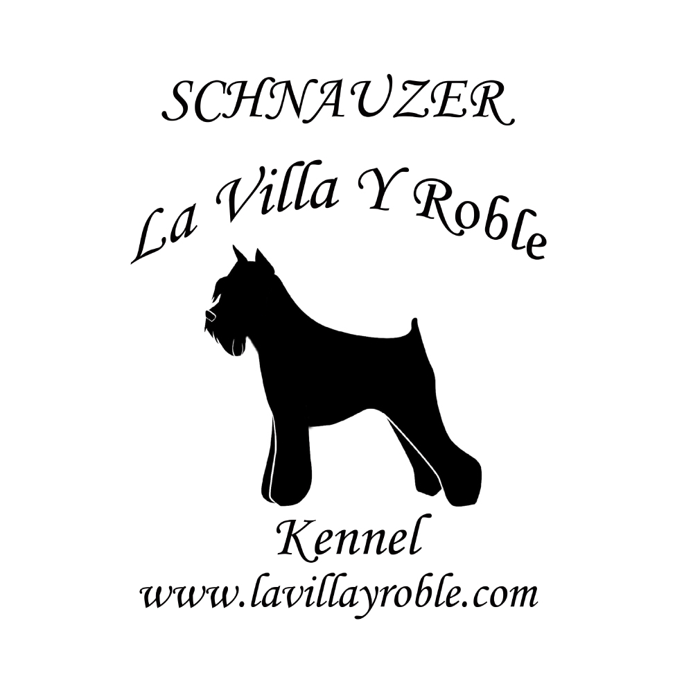 LA VILLA Y ROBLE