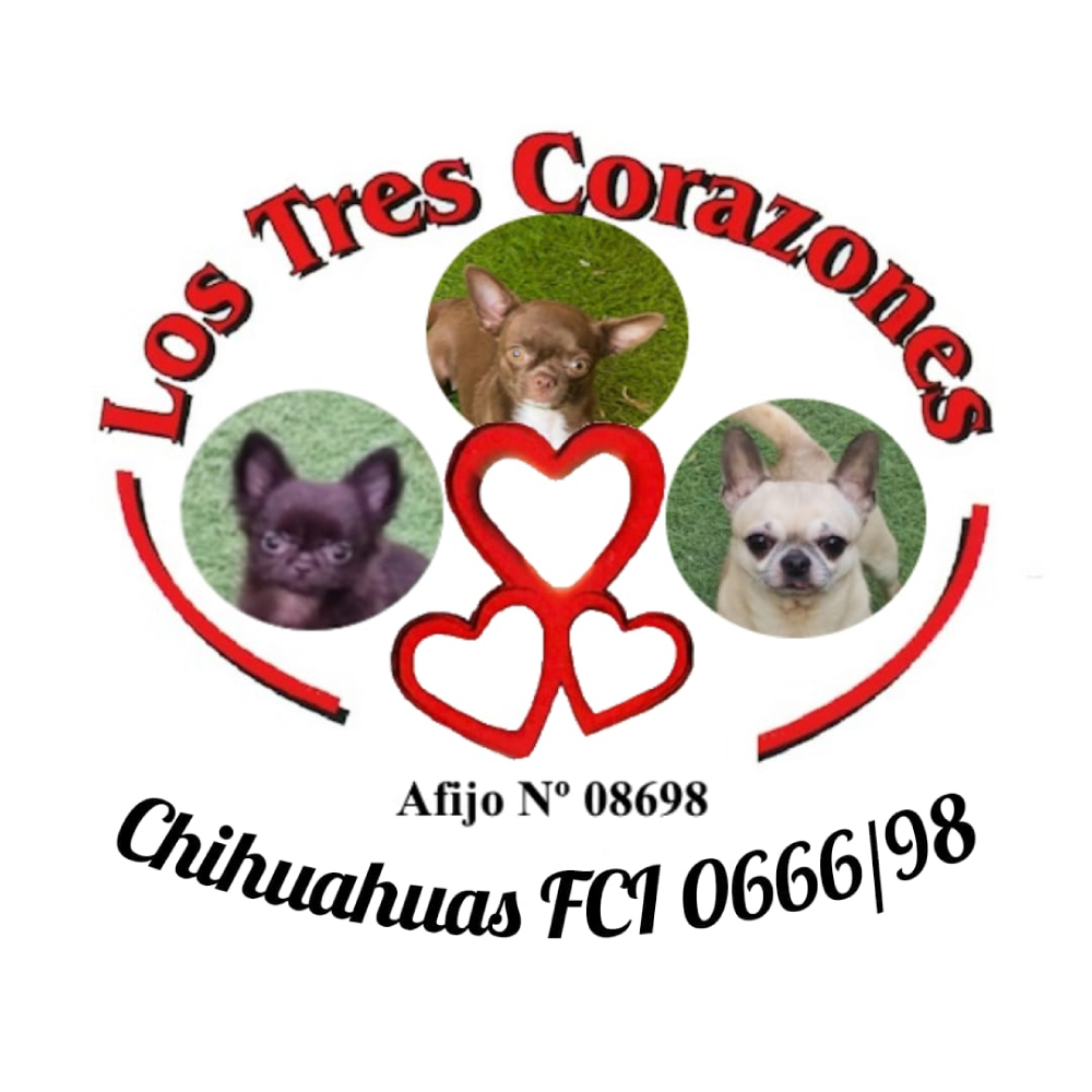 LOS TRES CORAZONES