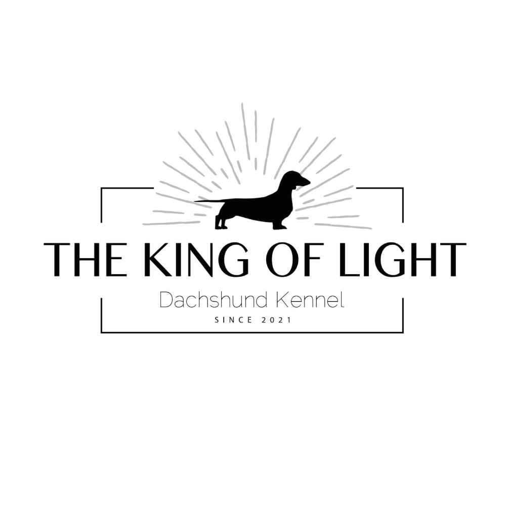 THE KING OF LIGHT
