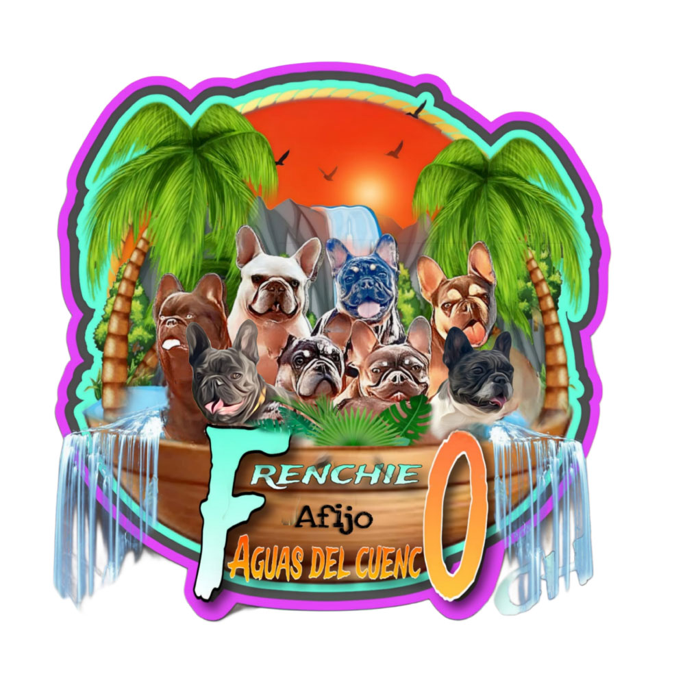 AGUAS DEL CUENCO