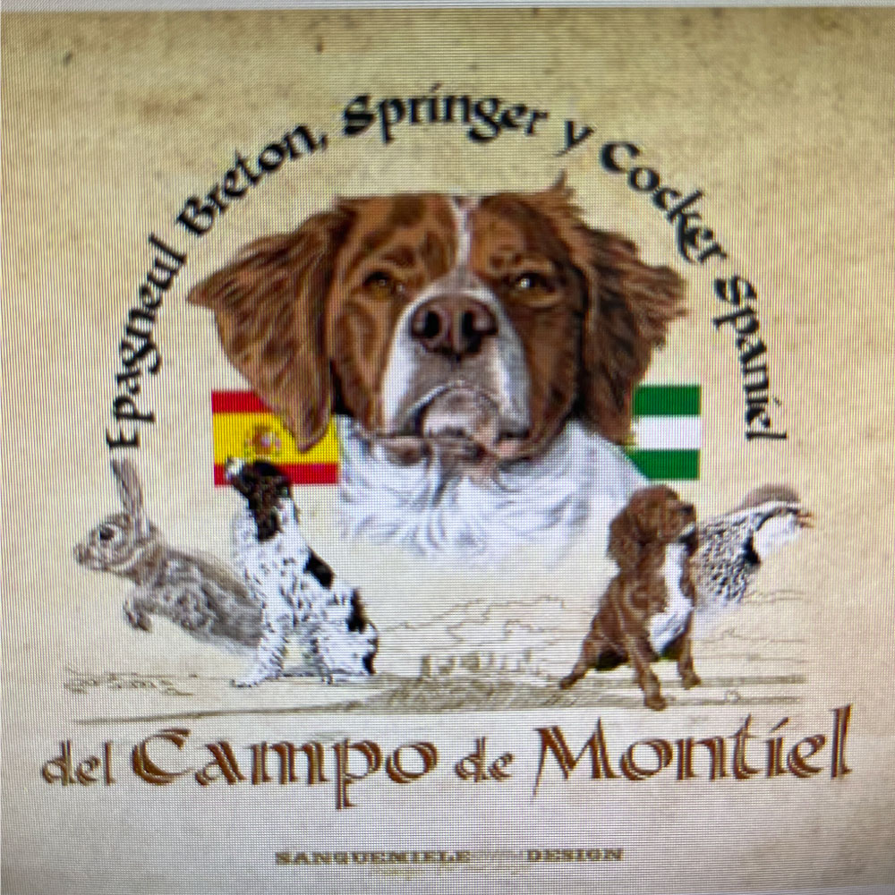 DEL CAMPO DE MONTIEL