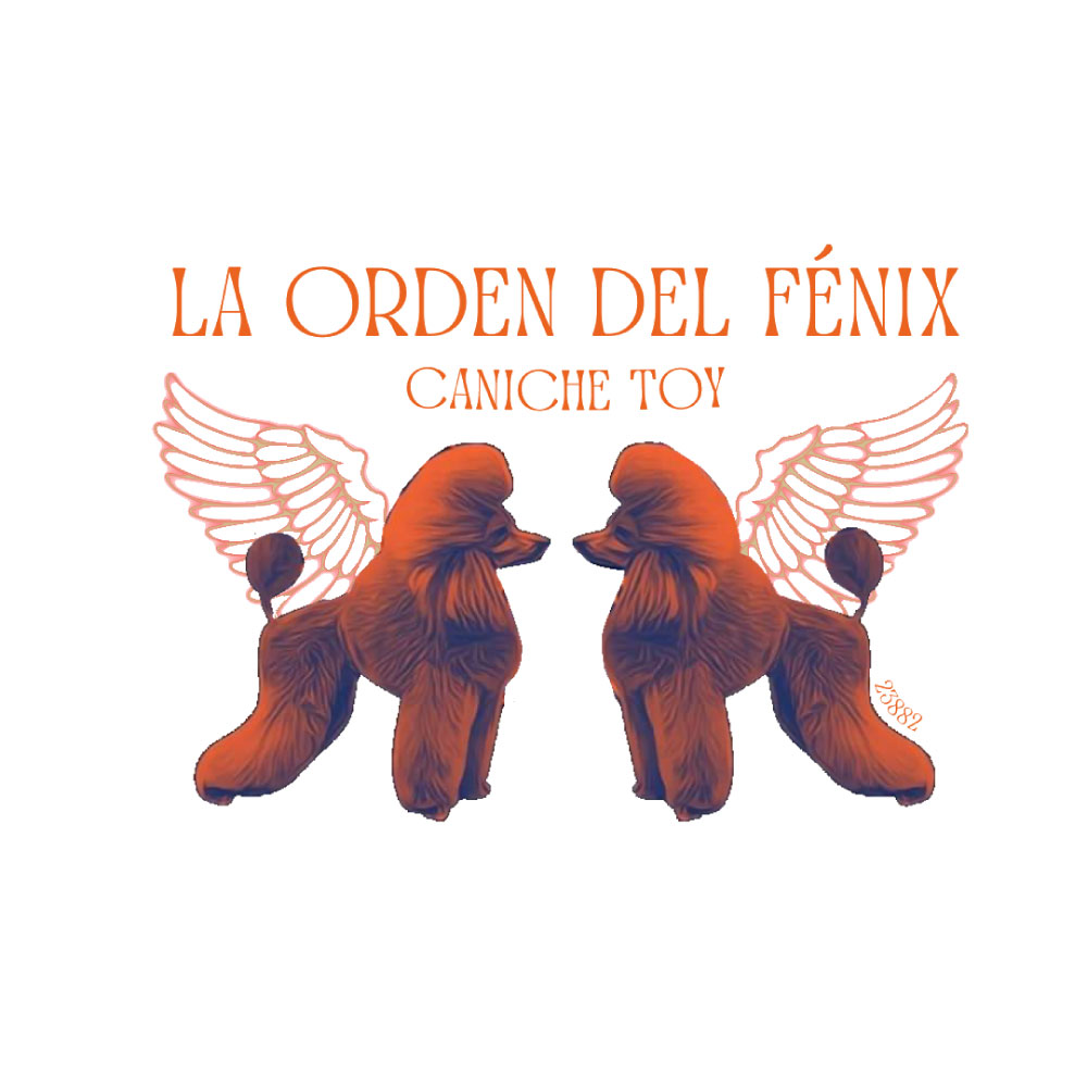 LA ORDEN DEL FENIX
