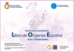 Pedigree RSCE PLUS